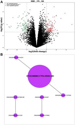 Comprehensive comparative analysis of histopathology and gene expression in subchondral bone between kashin-beck disease and primary osteoarthritis